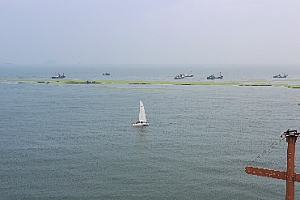 青岛  城市  海岸  灯光  帆船视频素材