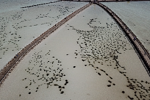 茶卡盐湖  盐池  中国的天空之镜  视频素材