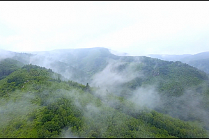 4K航拍内蒙古阿尔山云雾环绕蓝天白云的高山森林视频素材