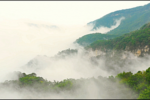 4K航拍云雾弥漫的兴安岭森林山脉视频素材