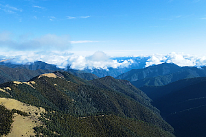 4K航拍西藏高原树林高山蓝天白云视频素材