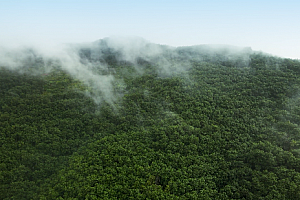 4K航拍巴彦乌兰高山森林云雾视频素材