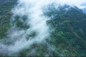 4K云雾缭绕的兴安岭原始森林视频素材