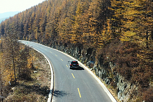 4K忻州市五台山秋天黄叶汽车在山林中行进智能跟随视频素材