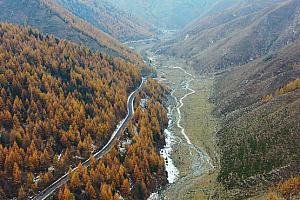 4K忻州市五台山秋天秋日黄叶山林公路河流视频素材