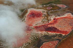 4K阿拉善腾格里沙漠红色盐湖乌兰湖视频素材